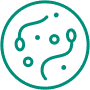 Cirurgias para obtenção de espermatozoides